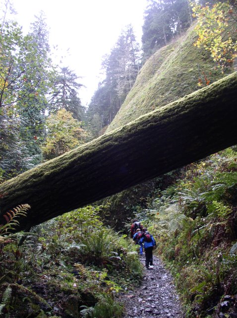 10.28.05 Devil's Rest 030 